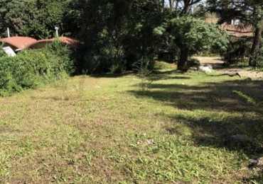 LOTE CON ESCRITURA GAS NATURAL PLANO 450M